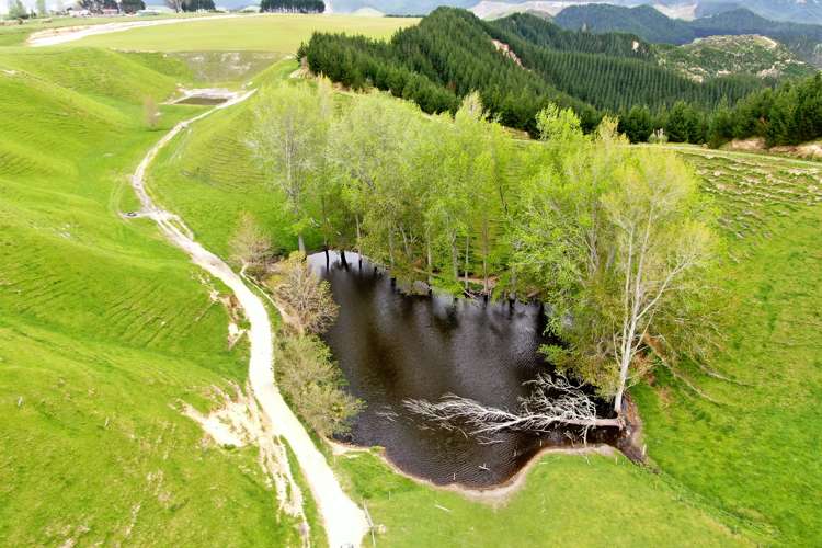 166 Airstrip Road Pikowai_14