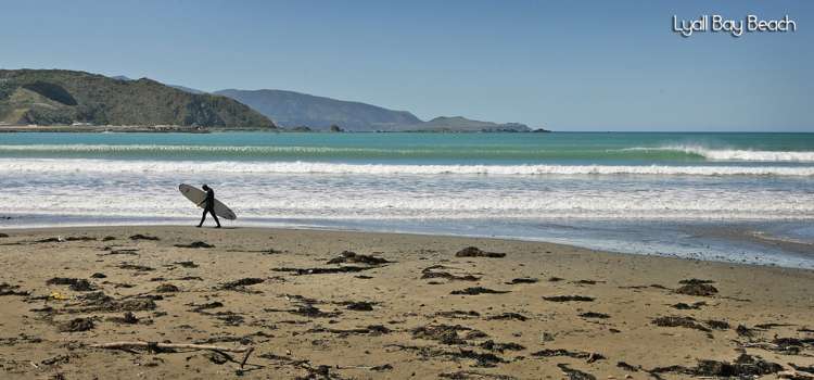 118 Lyall Parade Lyall Bay_5