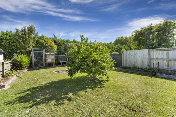 1289 Rangitikei Line Newbury_19