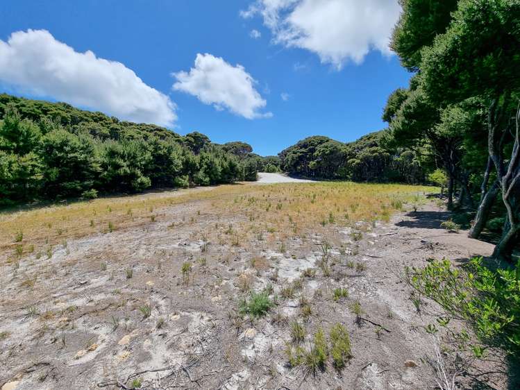 449 Matai Bay Rd Karikari Peninsula_26