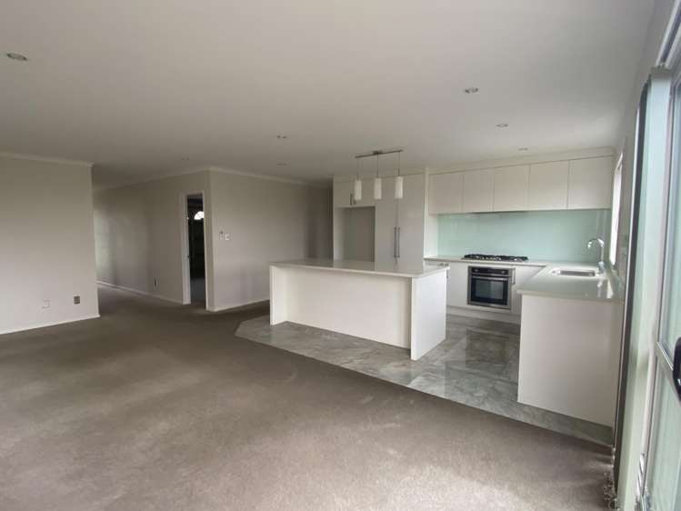 14 Shelby Lane Flat Bush_3