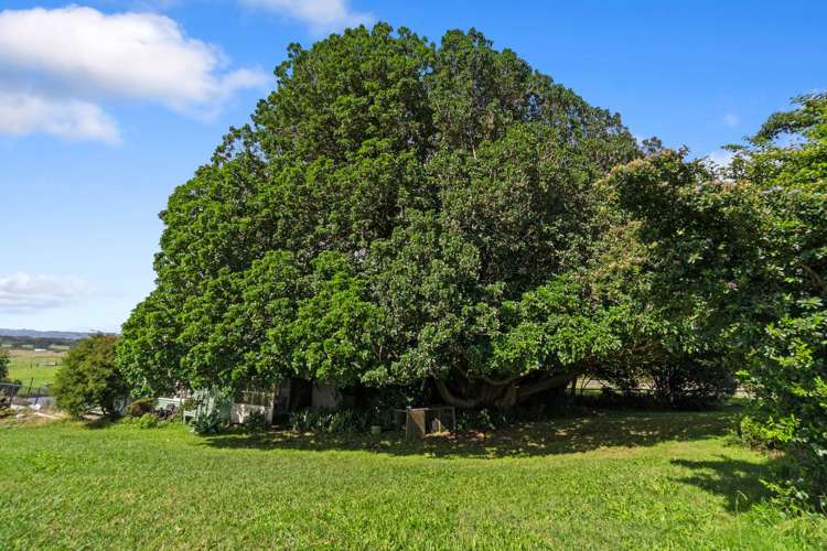 262B Urquhart Road Karaka_17