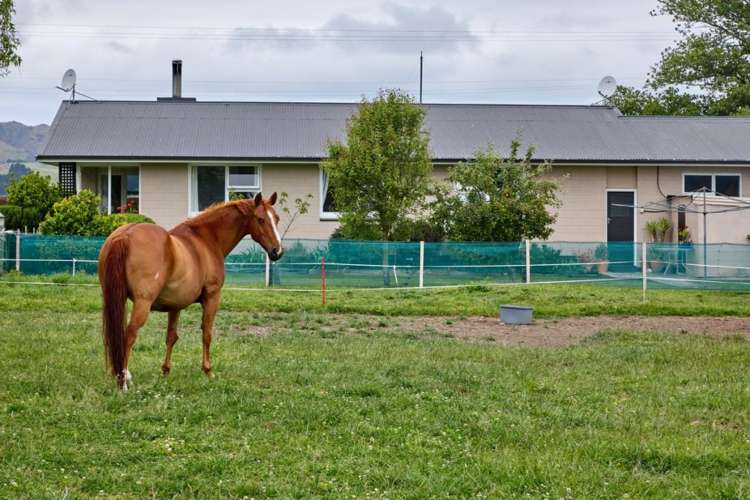 1199 Parnassus Road Cheviot_9