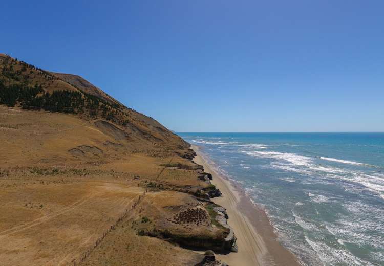 Waitangi Road Waimarama_6