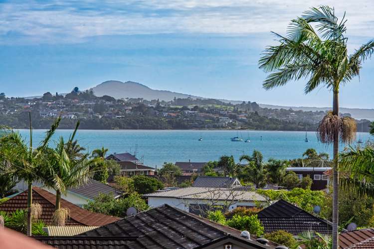 11 Paykel Avenue Farm Cove_33