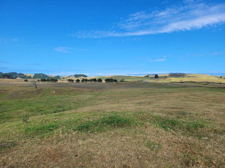 1008 Te Maire Road Te Kopuru_3