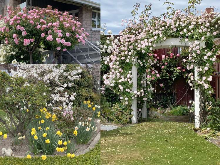 41 Broadway Avenue Timaru_19