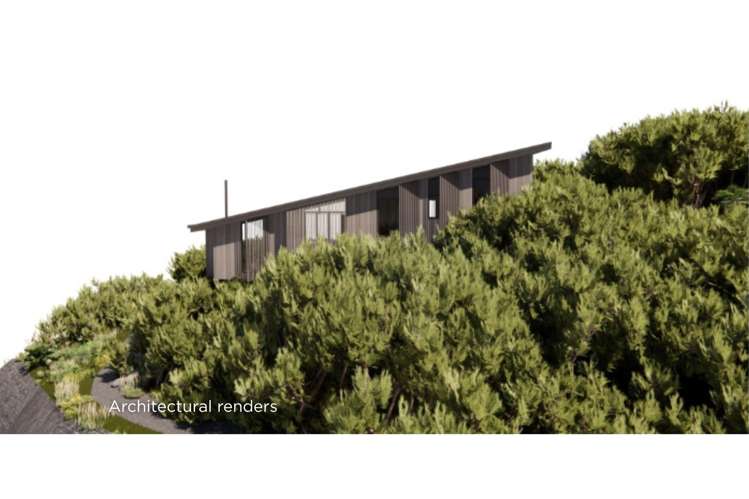 33 Surf Road Mangawhai Heads_13