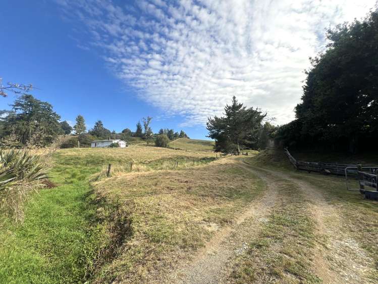 15 Kawana Street Piopio_23