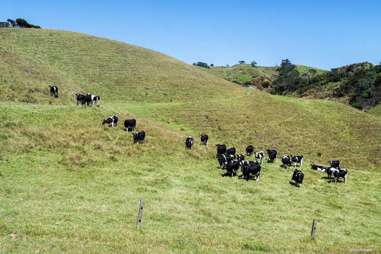 1672 Awhitu Road Waiuku_7