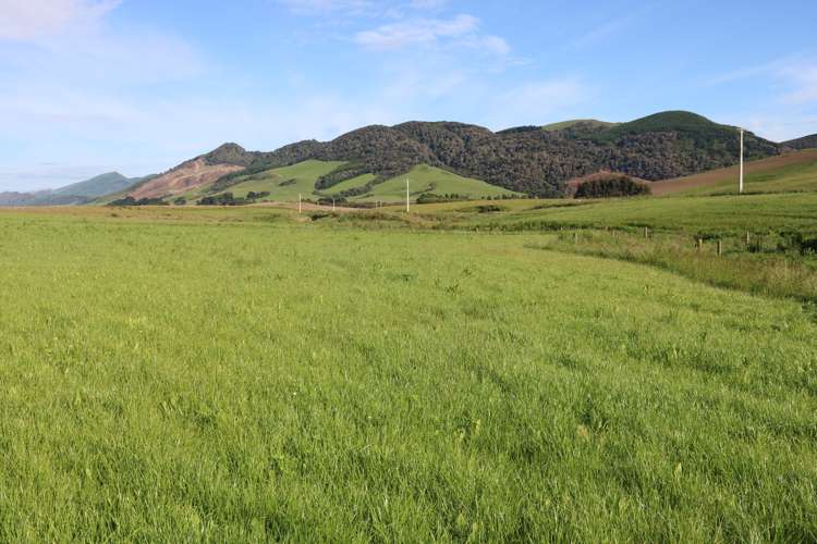 Hunt Road Catlins Surrounds_10