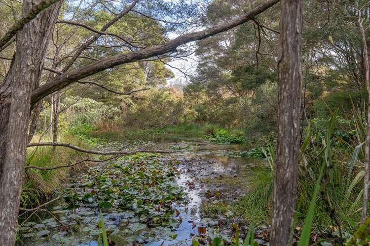 425n Boat Harbour Road Whenuakite_38