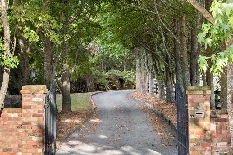 44 Norfolk King Drive Ramarama_17