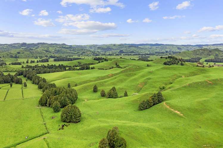 878 Mokauiti Road Aria_4