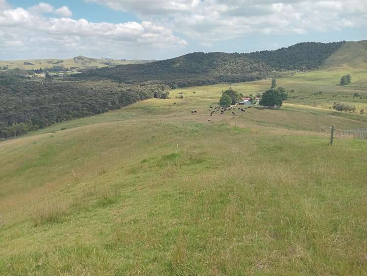 Lot 1/36 Te Moho Road Taipa_16