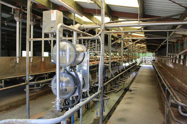 1250 Arapuni Road Parawera_19