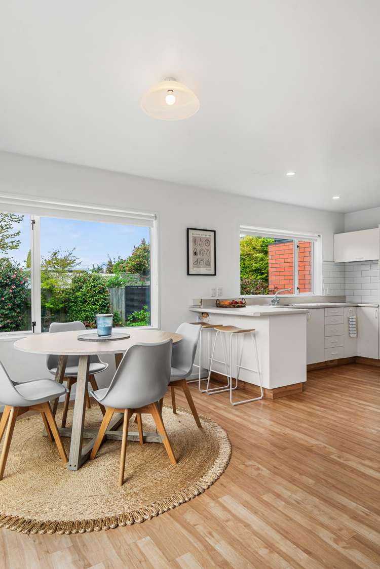 12 McLeish Lane Spreydon_10