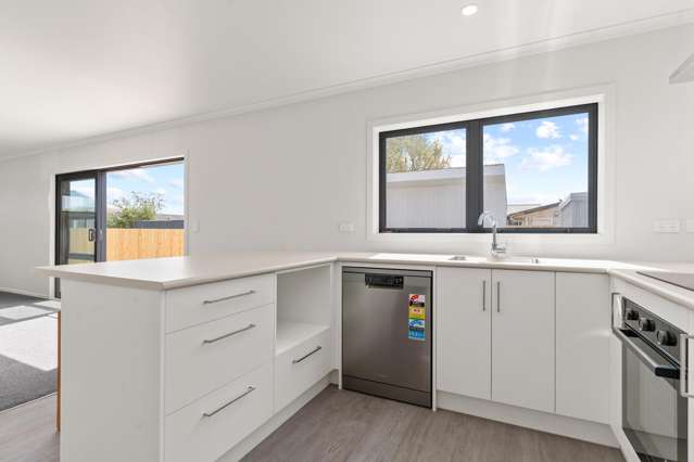 58 River Road Masterton_3