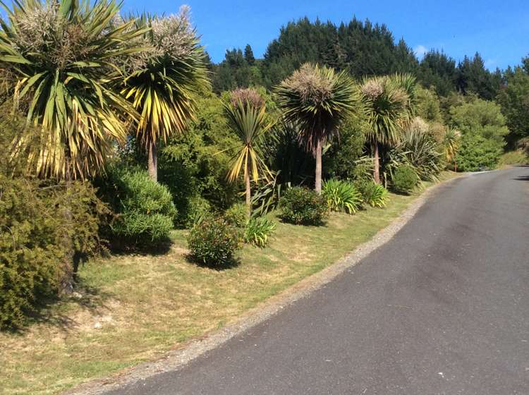 177f Swamp Road Riwaka Motueka_15