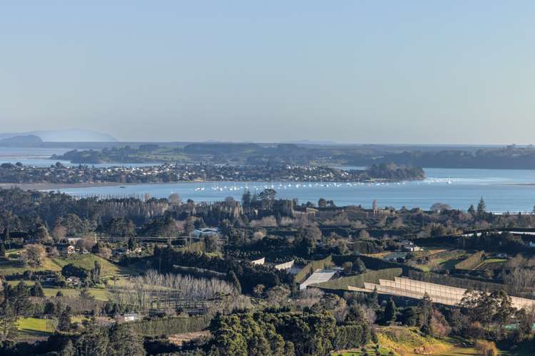 213e Minden Road Wairoa_5