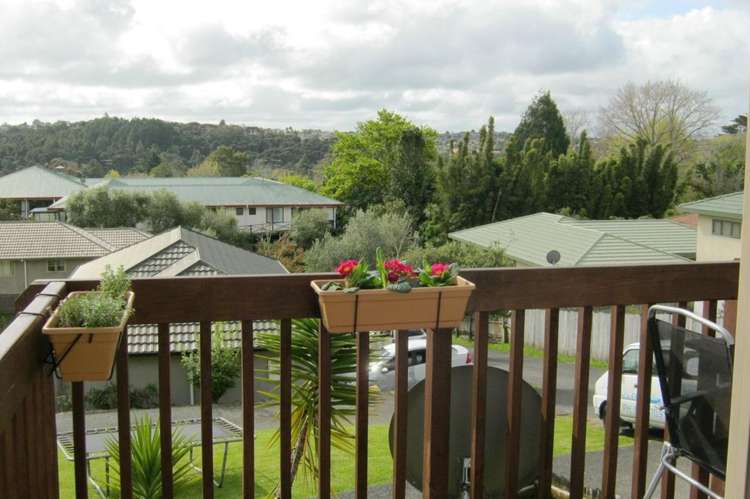 49A Forest Hill Road Henderson_9