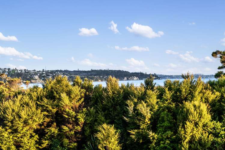 56 Bomb Point Drive Hobsonville_8