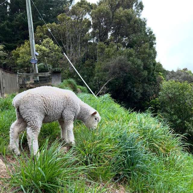 1/1342B Akatarawa Road Akatarawa_2