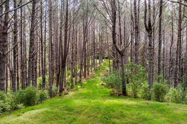 Taraunui Road Parua Bay_3