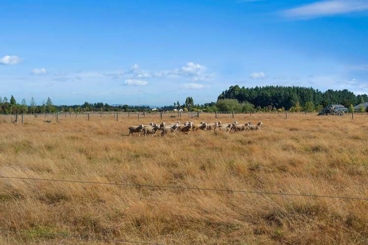 104 Jordan Road Carterton_10