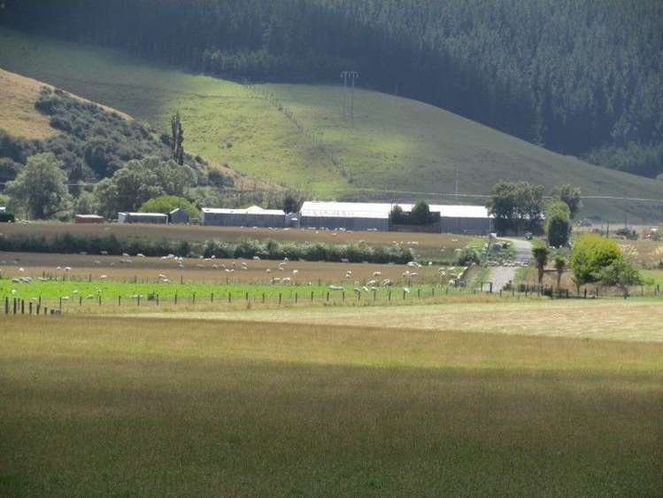 734 Crichton Road Milton_28