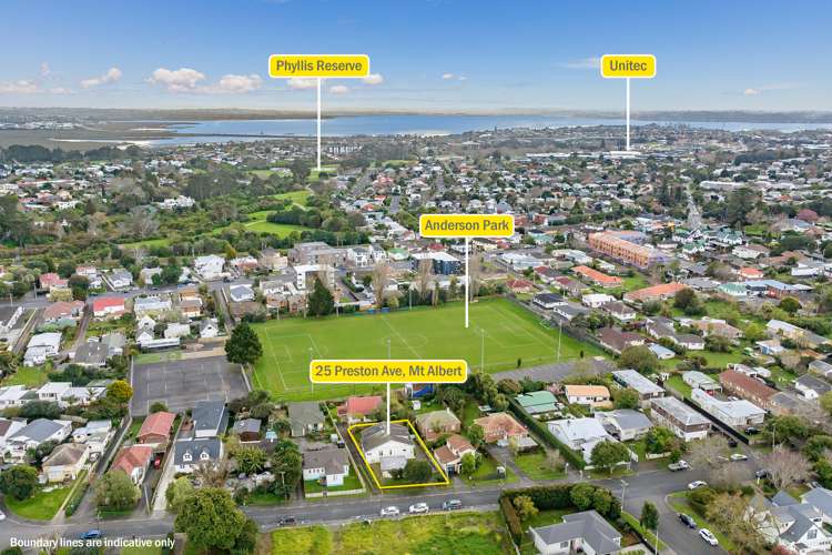 25 Preston Avenue Mount Albert_14