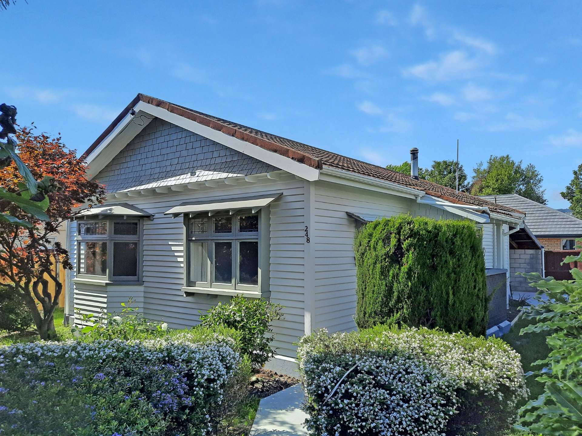 248 Milton Street Sydenham_0