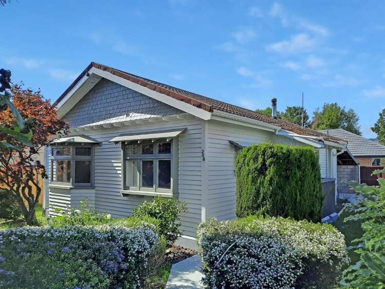 248 Milton Street Sydenham_0