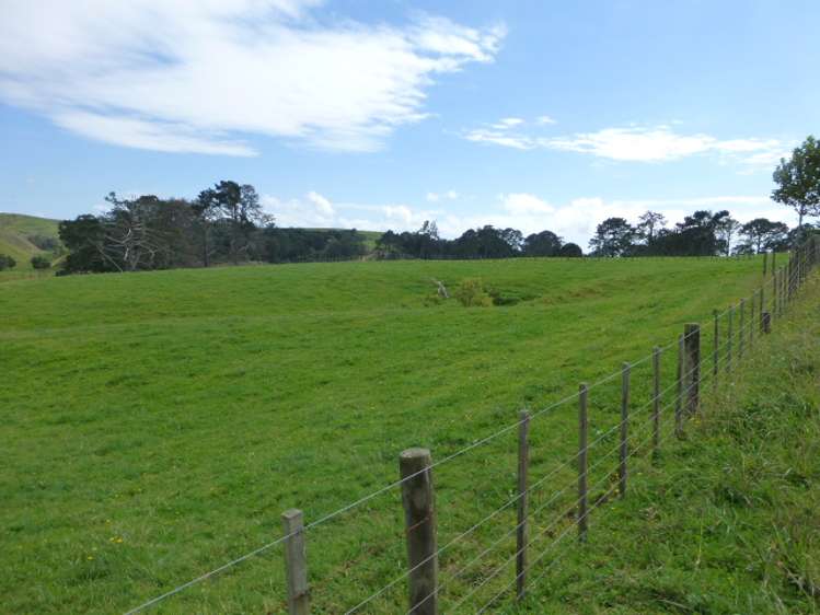 141c Oram Road Mercer_10