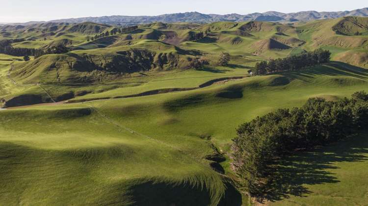 285 Grassmere Road Lake Grassmere_29