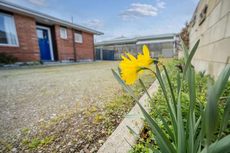 27a Bantry Street Alexandra_16