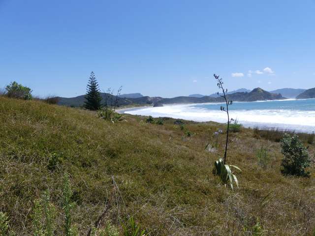 17 Sandhills Road Great Barrier Island (Aotea Island)_2