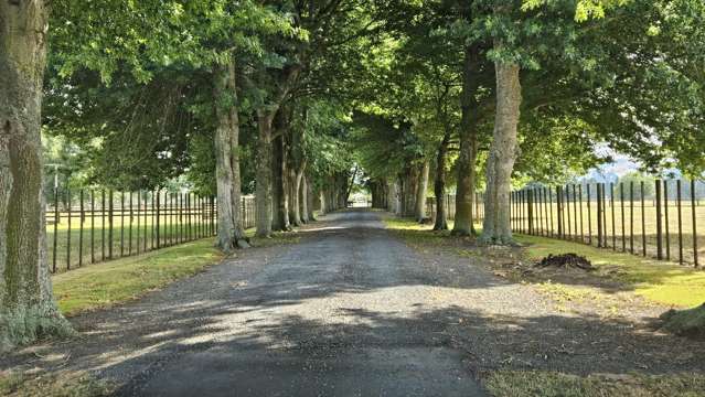 421 Maungatautari Road Cambridge_4