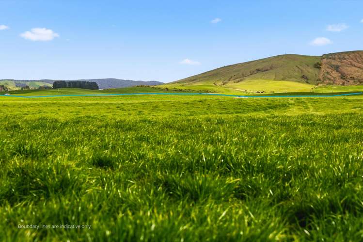 2/1389 Taharua Road Rangitaiki_17