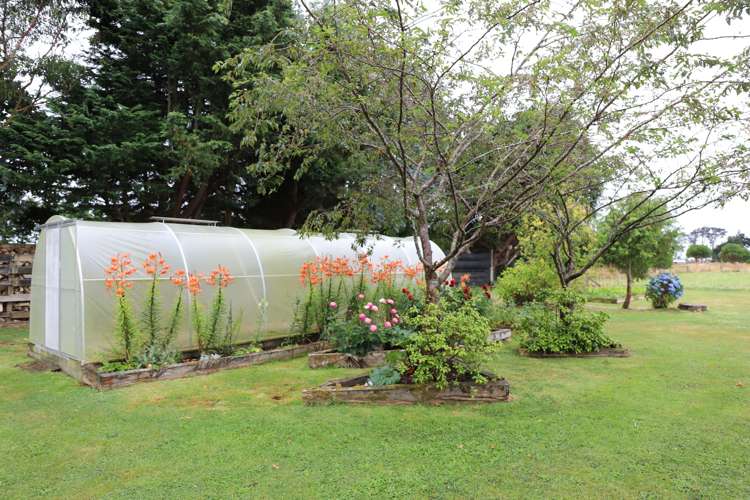 208 Coggins Road New River Ferry_15