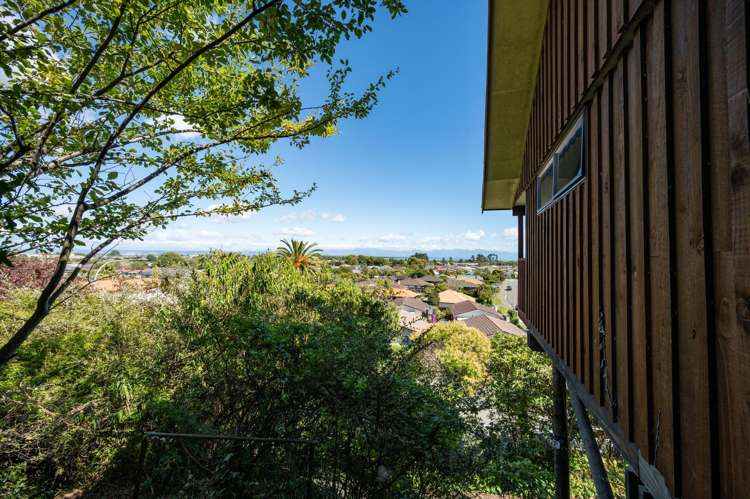 91 Tahunanui Drive Tahunanui_16