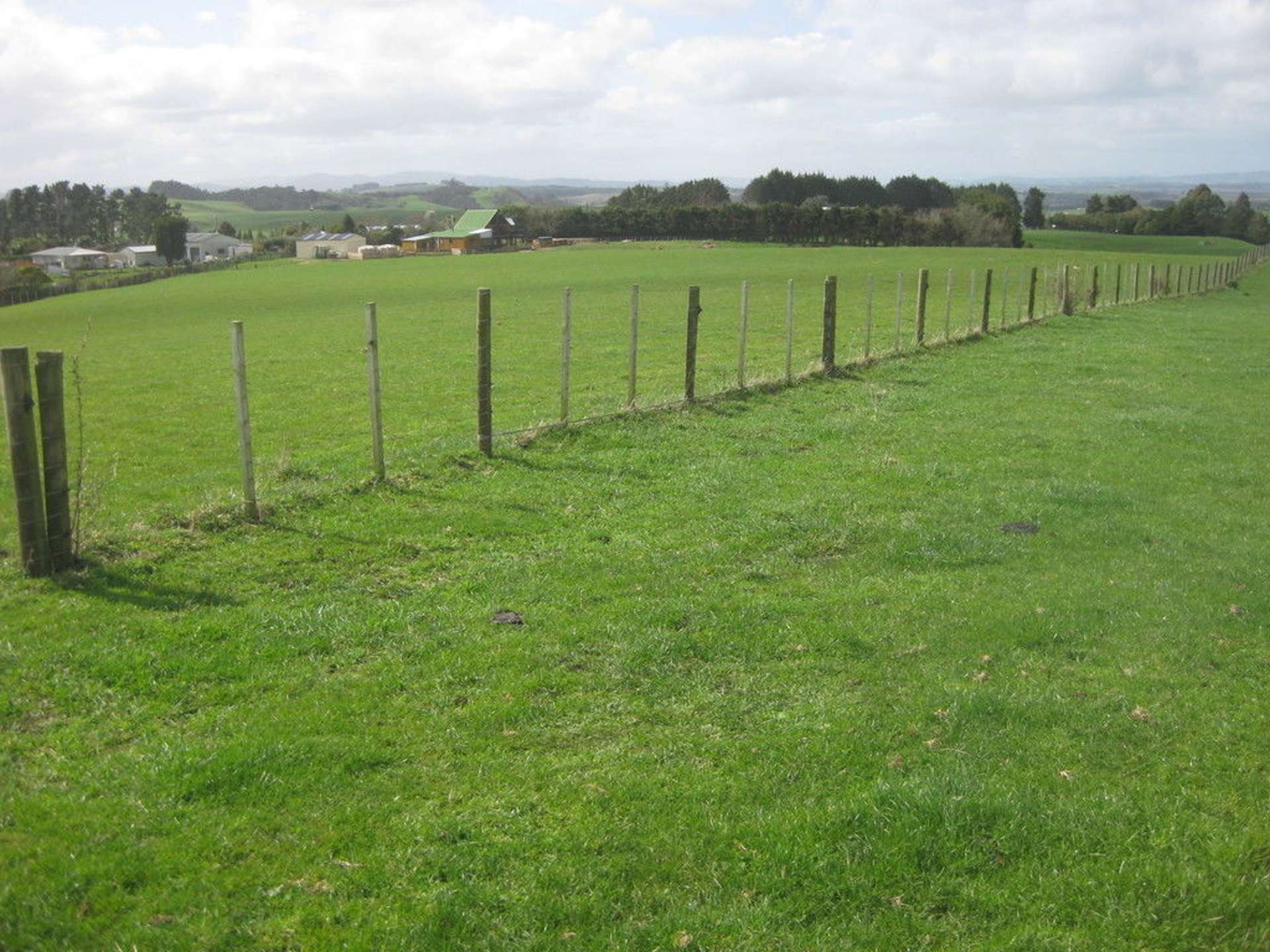 174 Morrison Road Pukekawa_0