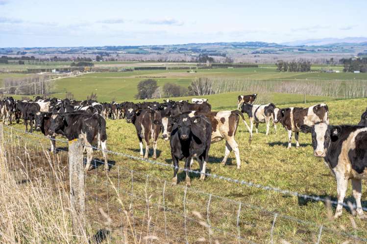 574 Spur Hut Road Temuka_4