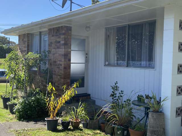 1/5 Bollard Avenue Mount Albert_1