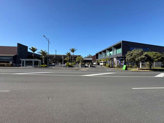 Unit 6/40 Stonefields Avenue Stonefields_1