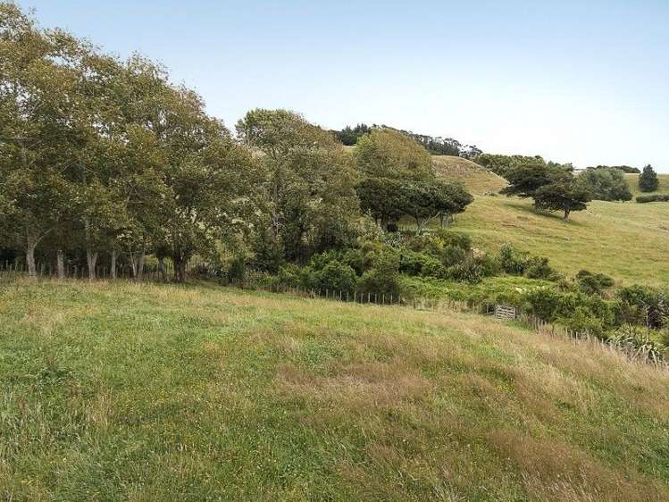 214a Kaipo Flats Road Onewhero_17