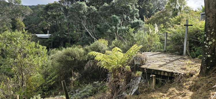 41a Blackwell Drive Great Barrier Island (Aotea Island)_8