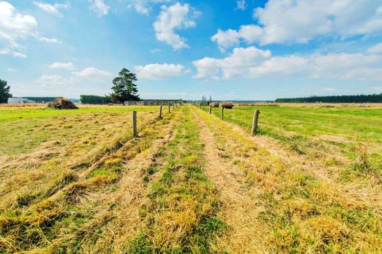 902 Leeston Dunsandel Road Leeston_16