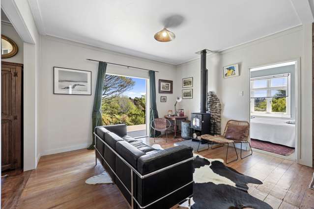 6a Ballance Street Lower Vogeltown_3