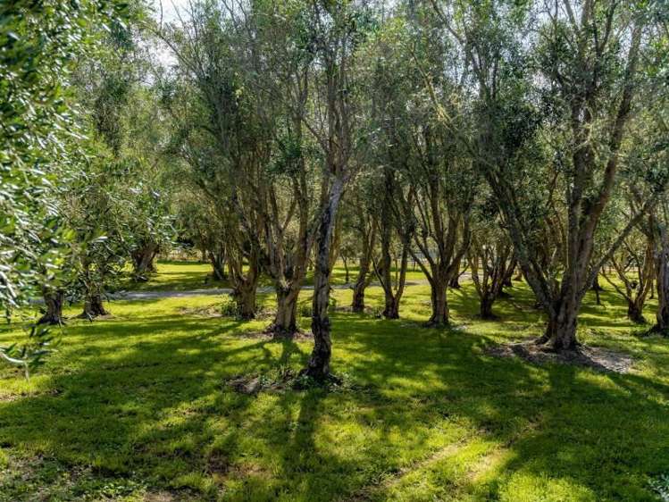 284a Underhill Road Tauwharenikau_37